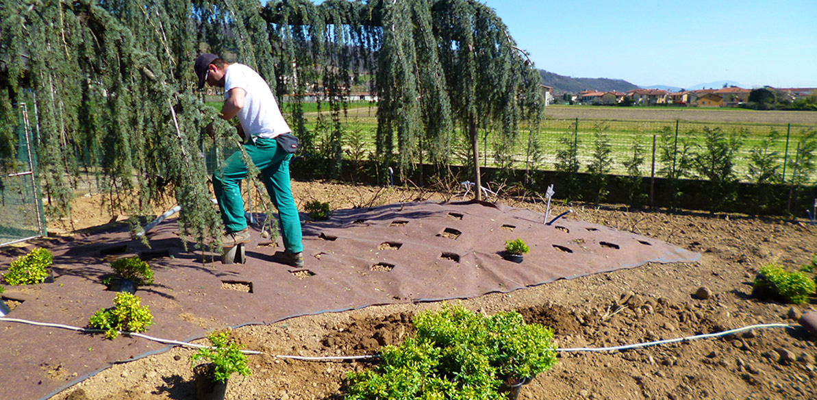 realizzazione giardini