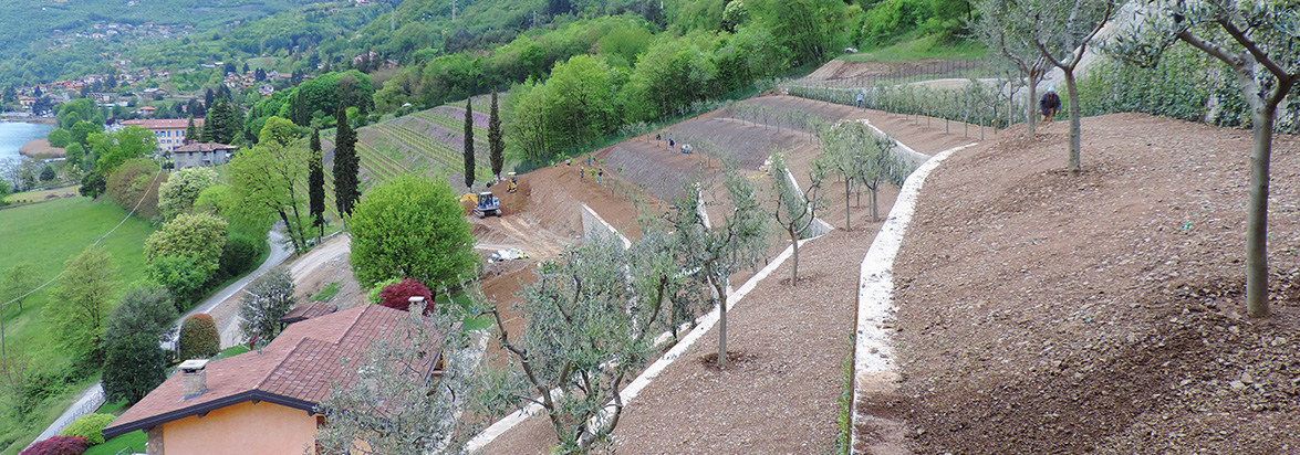 realizzazione parchi e giardini